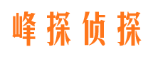 大姚找人公司